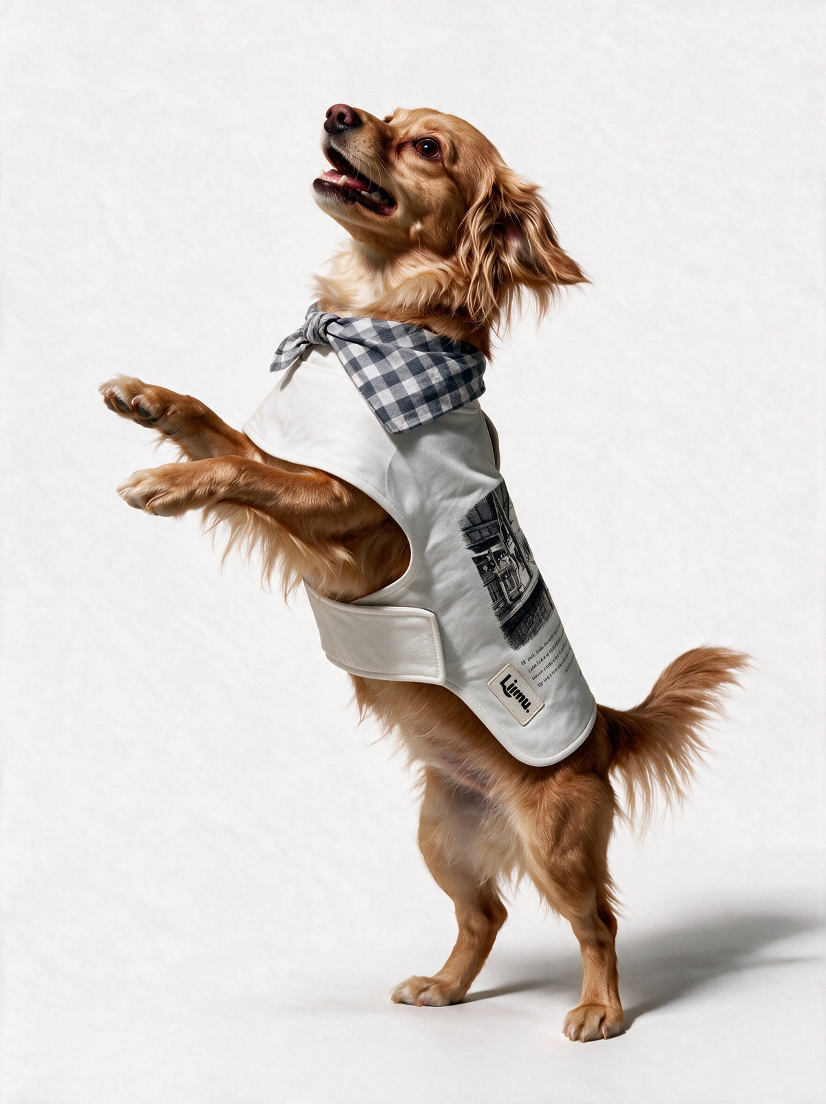 LIMUPET HACHIKO