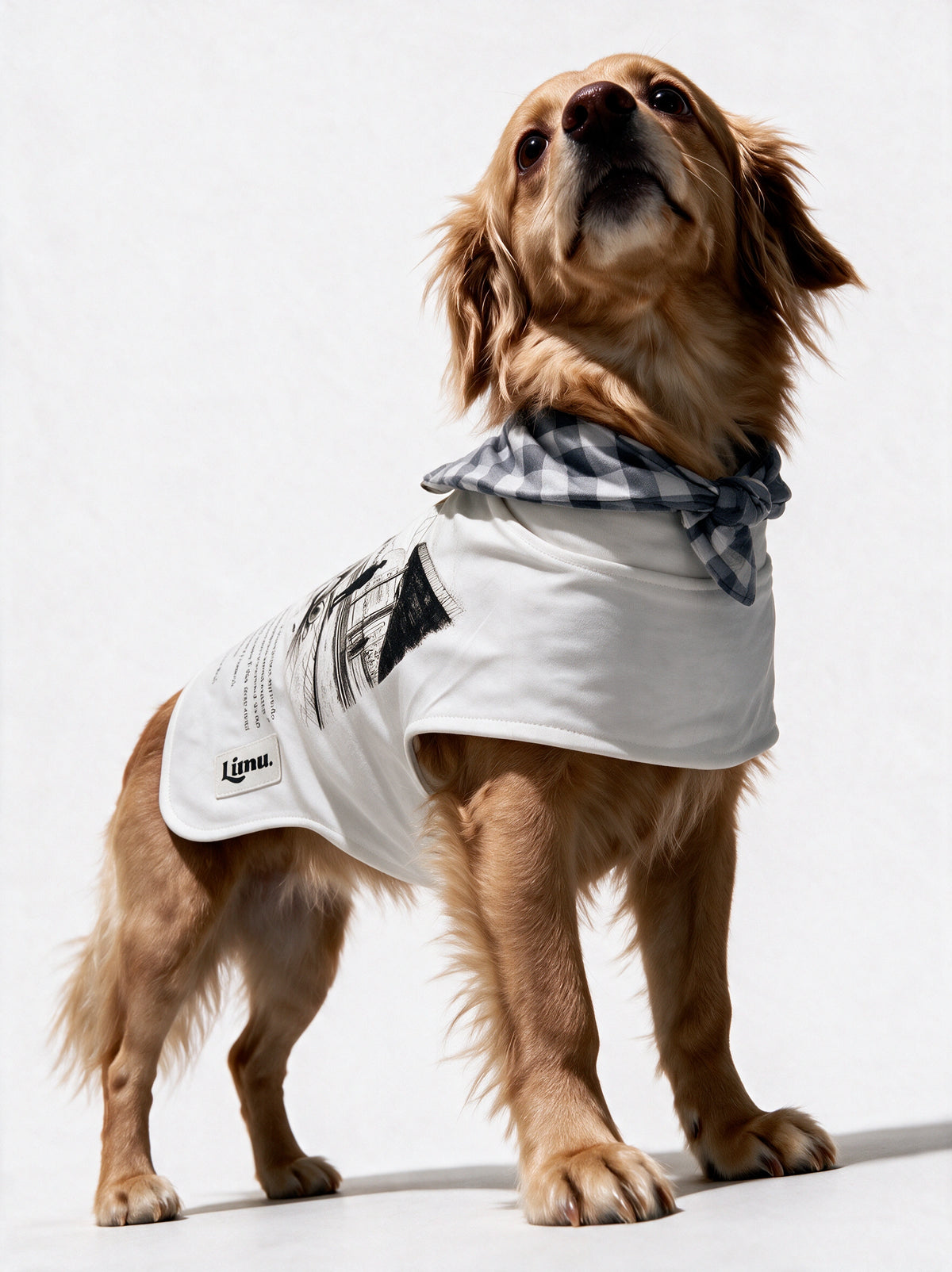 LIMUPET HACHIKO