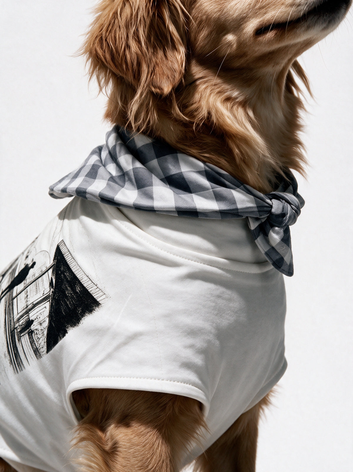 LIMUPET HACHIKO