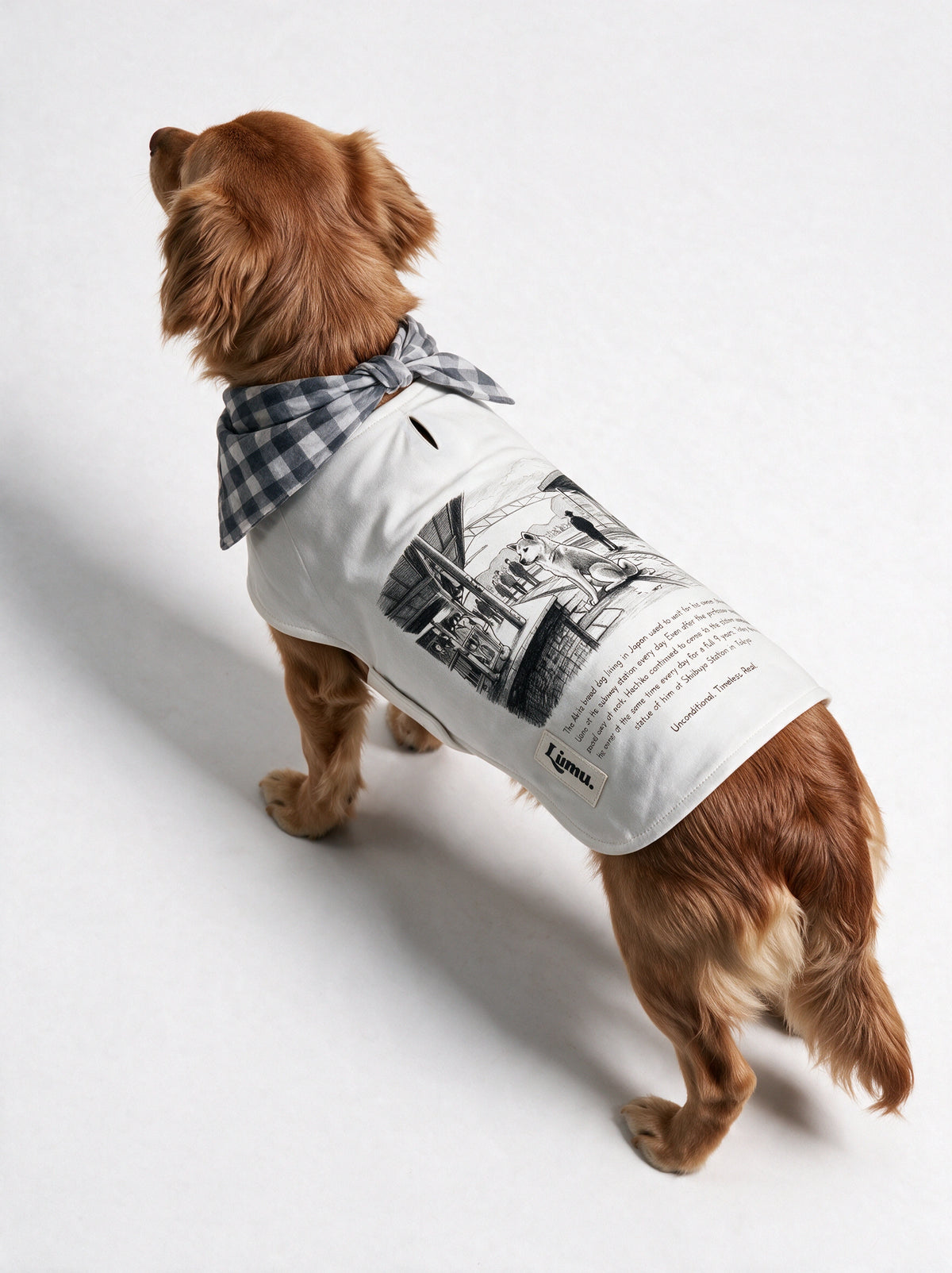 LIMUPET HACHIKO